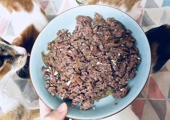 猫罐头里有卡拉胶可以吃吗,猫罐头添加瓜尔胶有什么危害吗