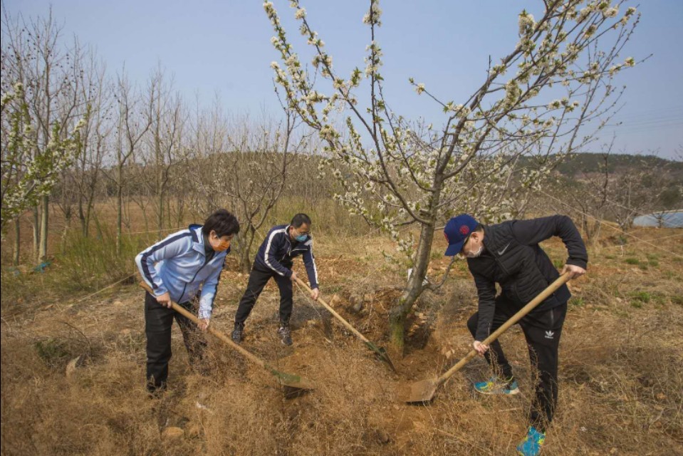 三寰牧场启动春耕节，别样活动促进后疫情时期文旅经济复苏。