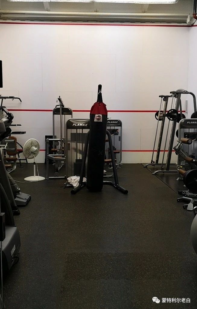 跟着老白行走加拿大，育空Watson Lake、BC省Northern Rockies