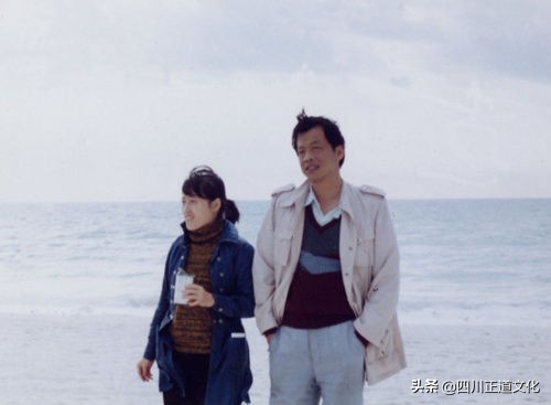 王小波美文100篇,你好哇李银河王小波