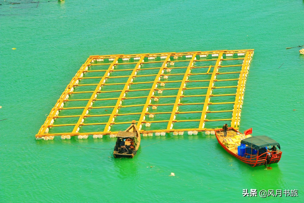 福建这处海天渔国，是世界最大海水养殖场，还被称海上威尼斯