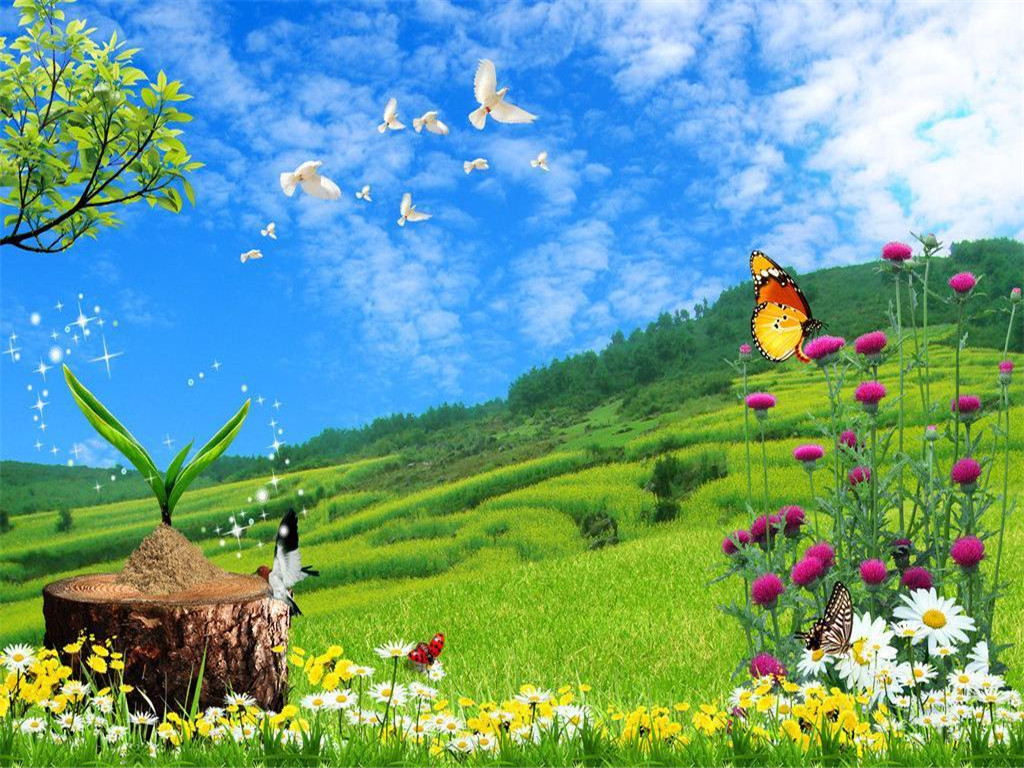 最美的护眼桌面壁纸,超清晰2340x1080曲面屏护眼壁纸