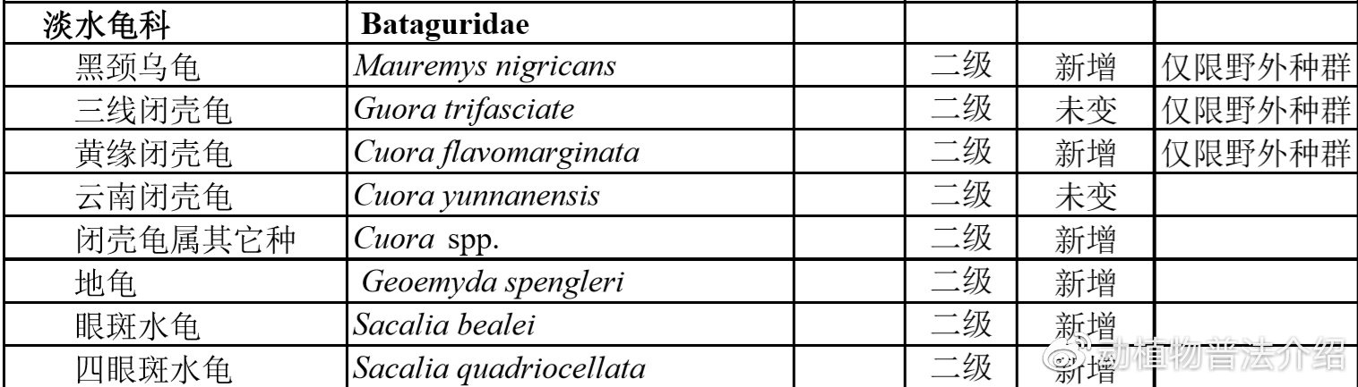 匠志萌宠乐园教学,匠志萌宠