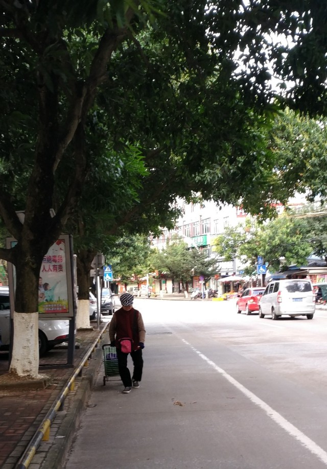 肺炎肆虐,谈虎色变,钦州怎么样?