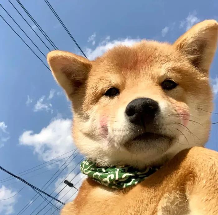 金牛座男生性格全面解析,金牛座性格超准分析十大特点