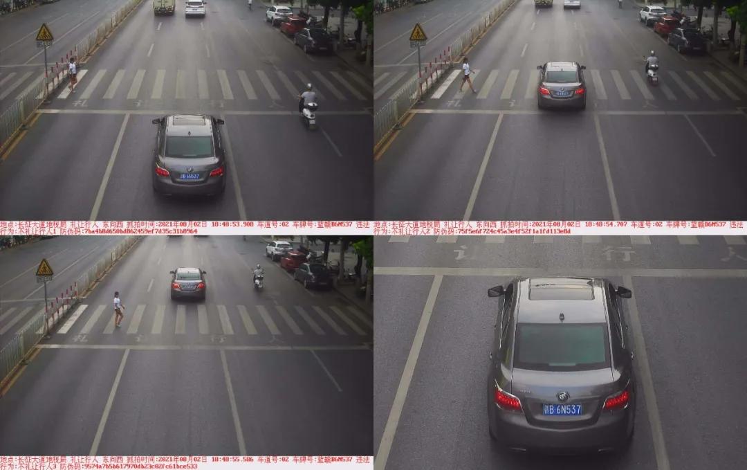 于都礼让行人上哪里举报,于都五中不礼让行人抓拍