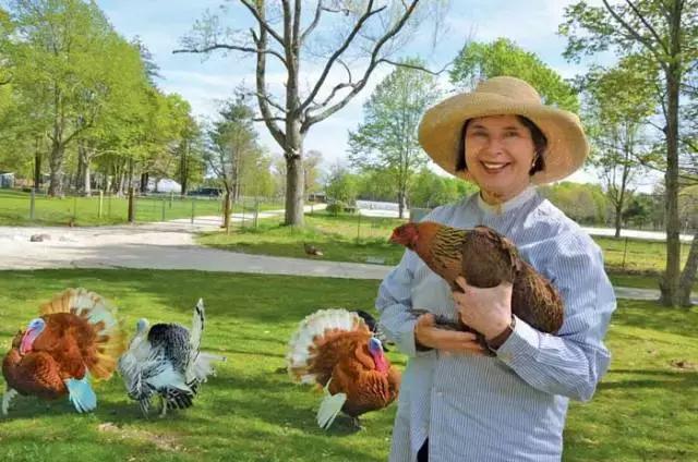 当女神变老,当女神变老了