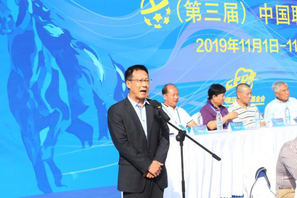 中国职工足球联赛比赛,中国职工足球联赛视频