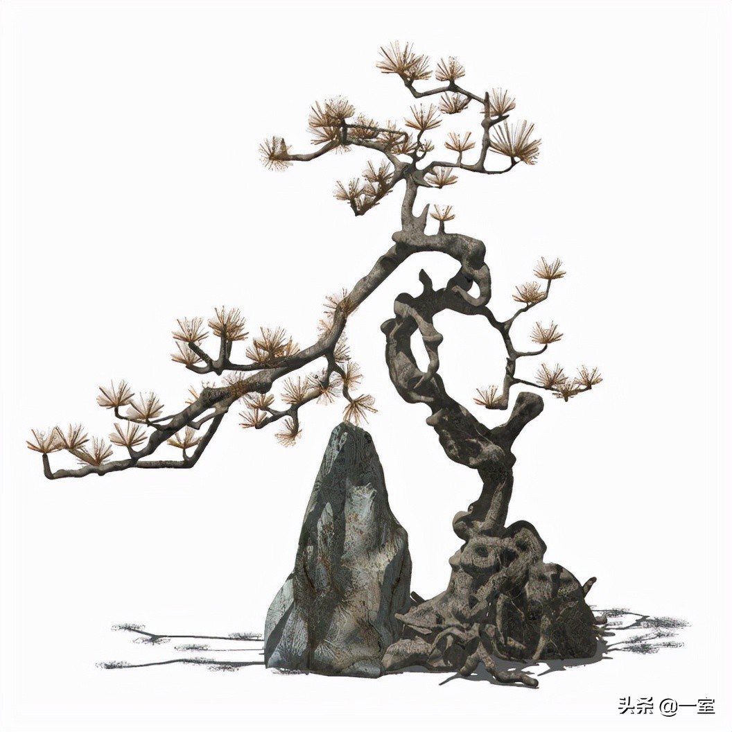 网红庭院植物搭配,网红绿植搭配技巧