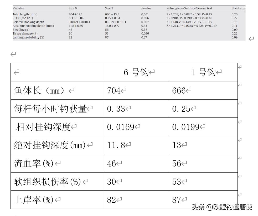 有哪些基础钓法初学者要学会,新手最稳妥的一种钓法