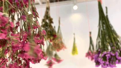 撩炸日韩少女心!风靡韩国的「花草系」咖啡店,韩国明星都爱去!