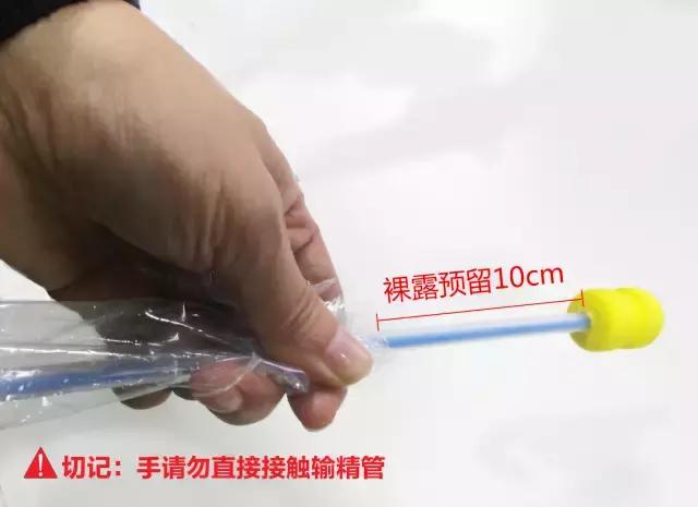 输精法的技术要点和注意事项,深部输精的正确操作