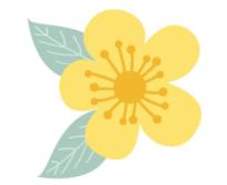 2019泰国泼水节攻略,2019年泰国泼水节地址