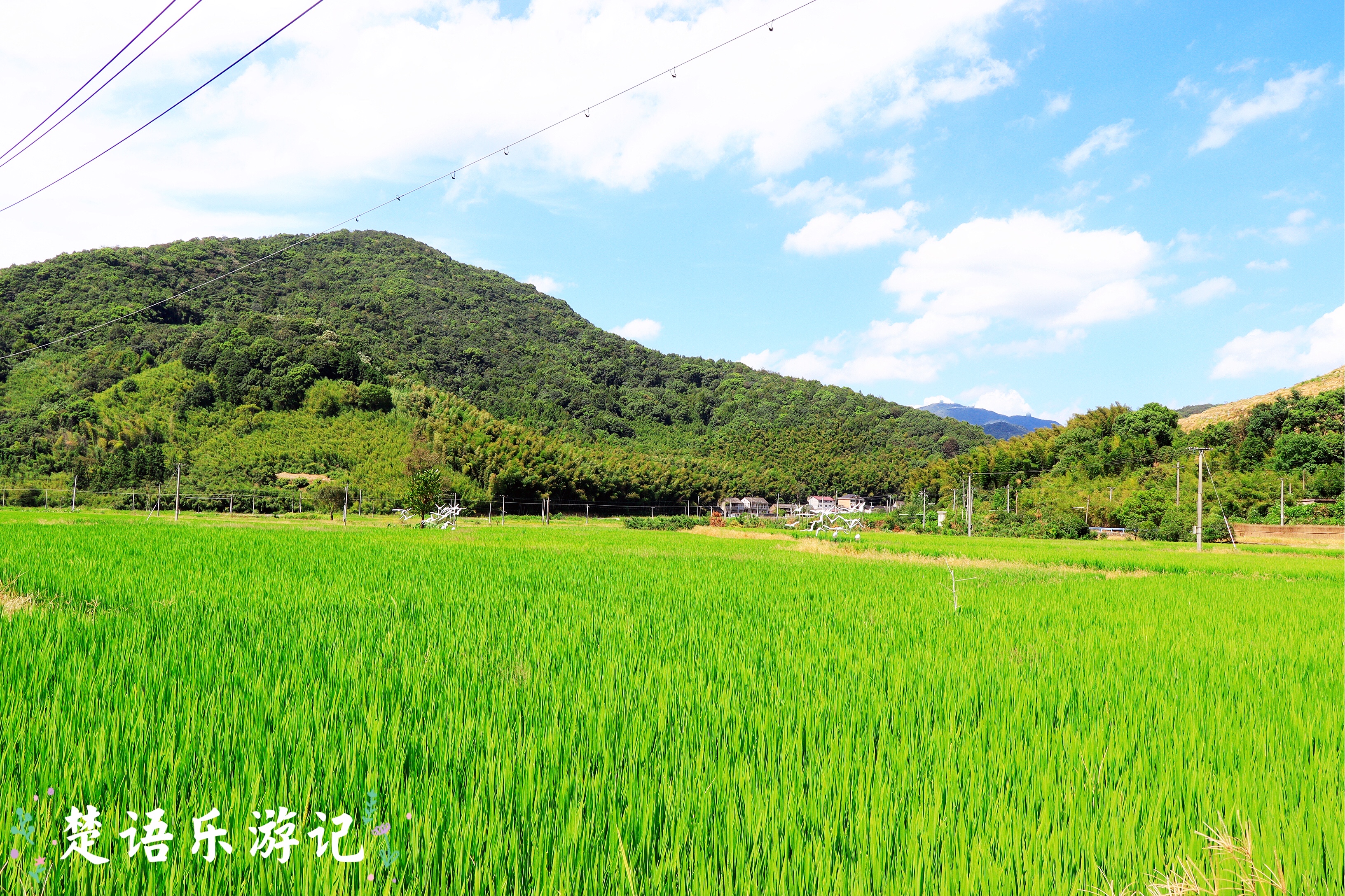 宁波太白山麓东吴镇，《大江大河2》的取景地，竟藏着几十处风景