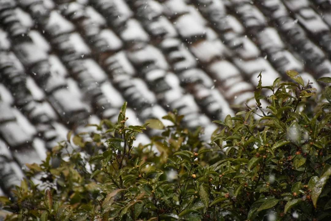 疫情为什么那么多地方管控,疫情肆意泛滥什么意思