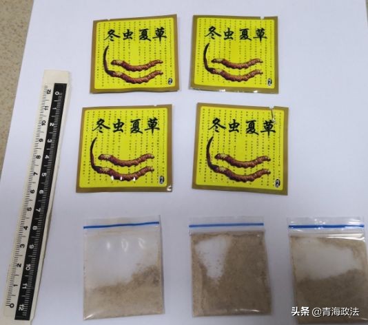 毒贩在蛇体内藏毒,毒贩在牛身上藏毒