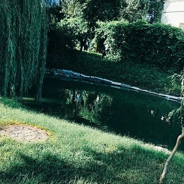 吉林市第一中学吉林市排名,吉林市省重点高中