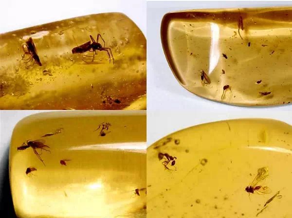 各种宝石原石的种类图片大全,高清彩色宝石原石图片大全