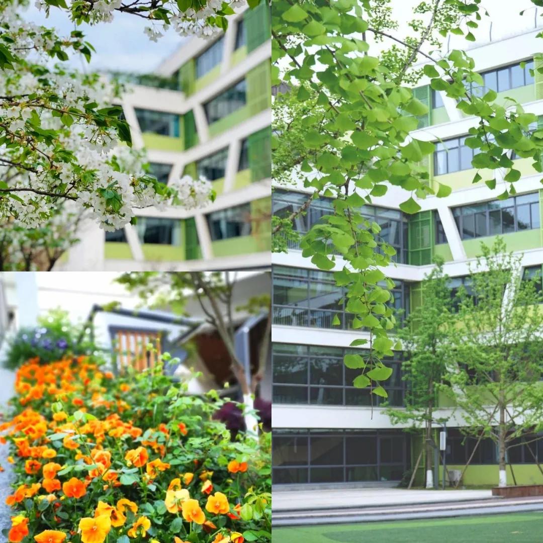 成都小学五朵金花学区房盘点,成都学区5朵金花