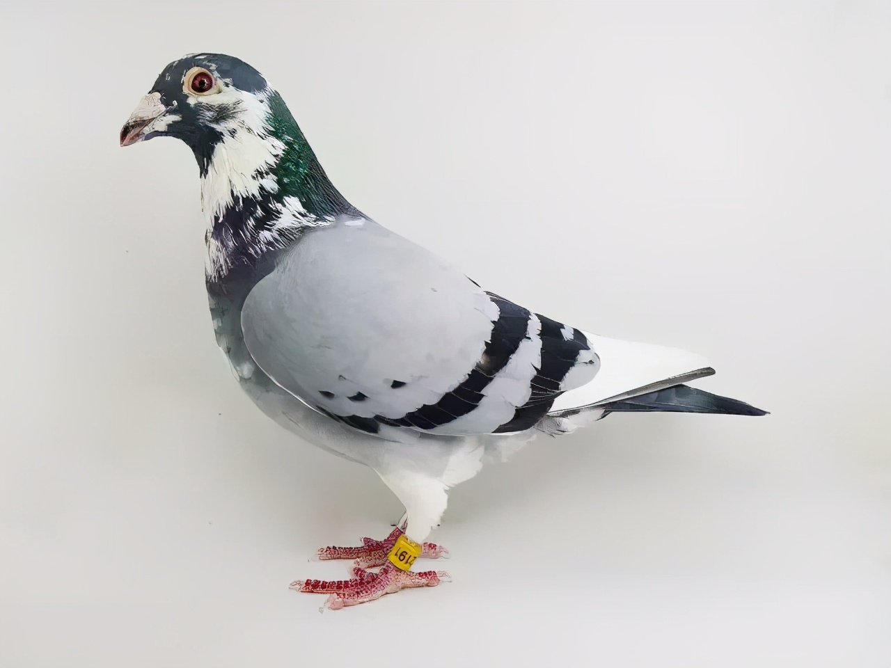 陈文广教授之引育结合和变与不变