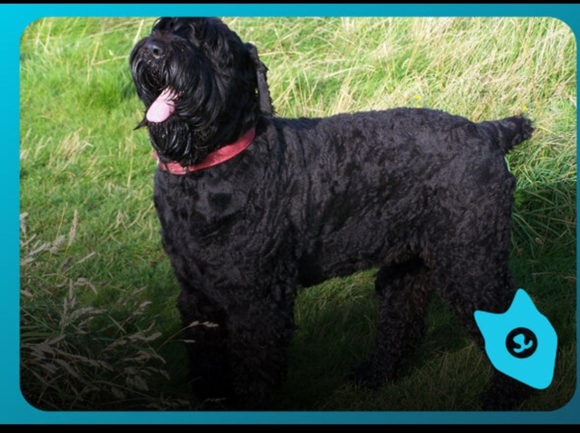 俄罗斯最著名的十大雕塑是,俄罗斯最著名的十大建筑物