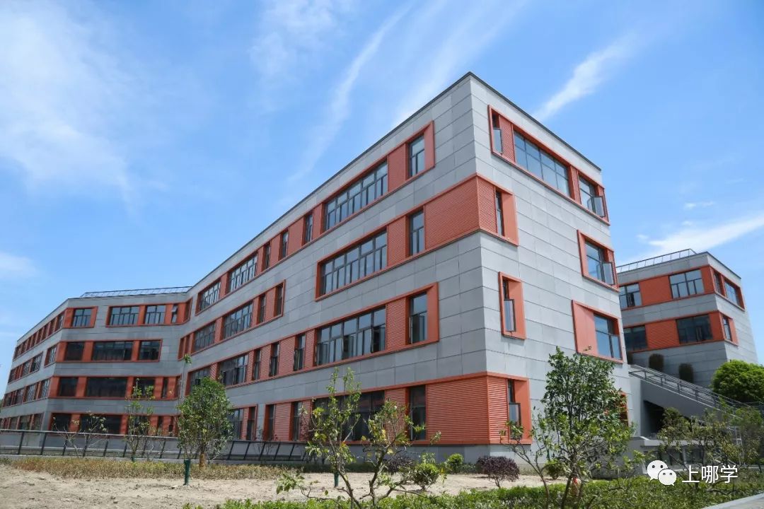 上海2020新增学位,上海各大学2024新增学位点