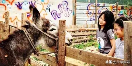 国内不太偏的亲子小众旅游 (全球最适合亲子游的十大旅游胜地)