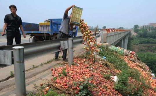 几万斤桃烂地里,几万斤桃烂在地里