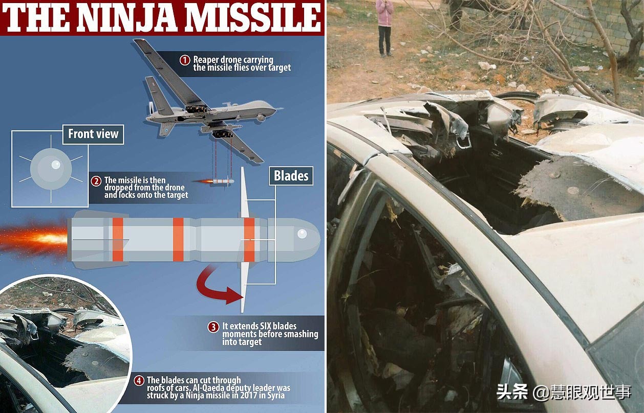 南柯真实事件,南柯事件全过程