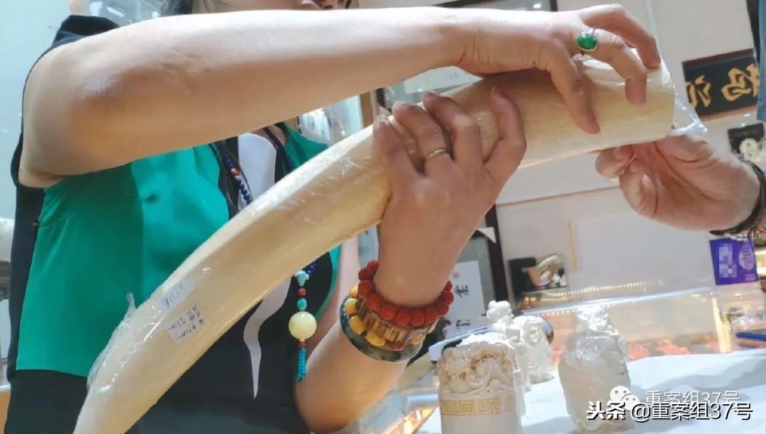 象牙非法运输案,象牙入境被抓视频
