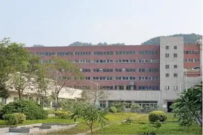 玻尿酸安全套十大品牌,国产001安全套品牌哪家好