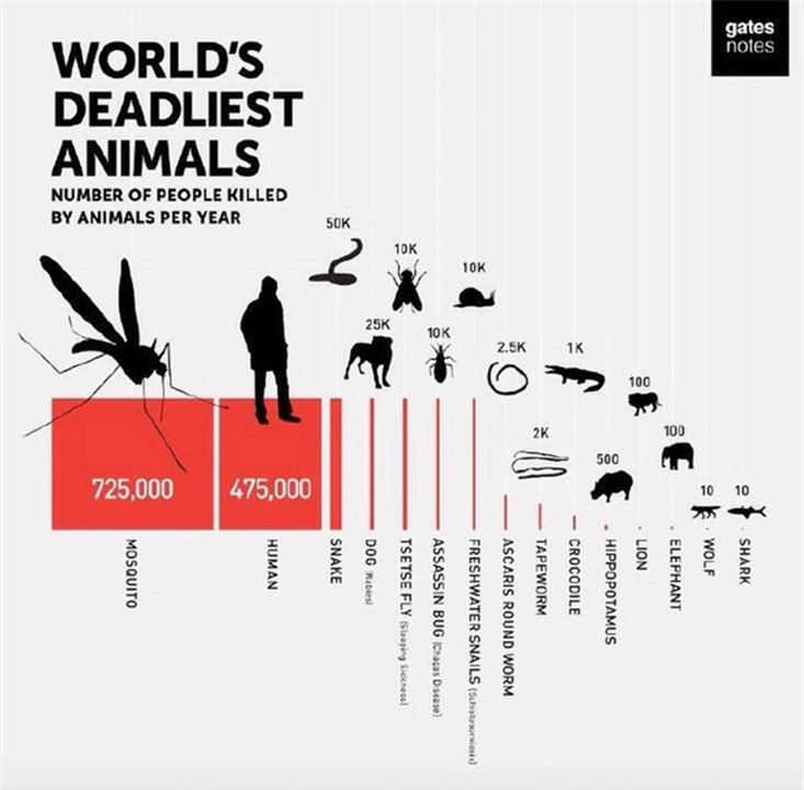 为什么蚊子幼虫期危害大,蚊子为什么被称为害虫