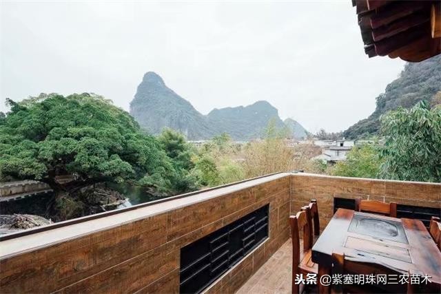 黄姚古镇大黄牛客栈团购优惠,贺州市昭平县黄姚古镇大黄牛客栈