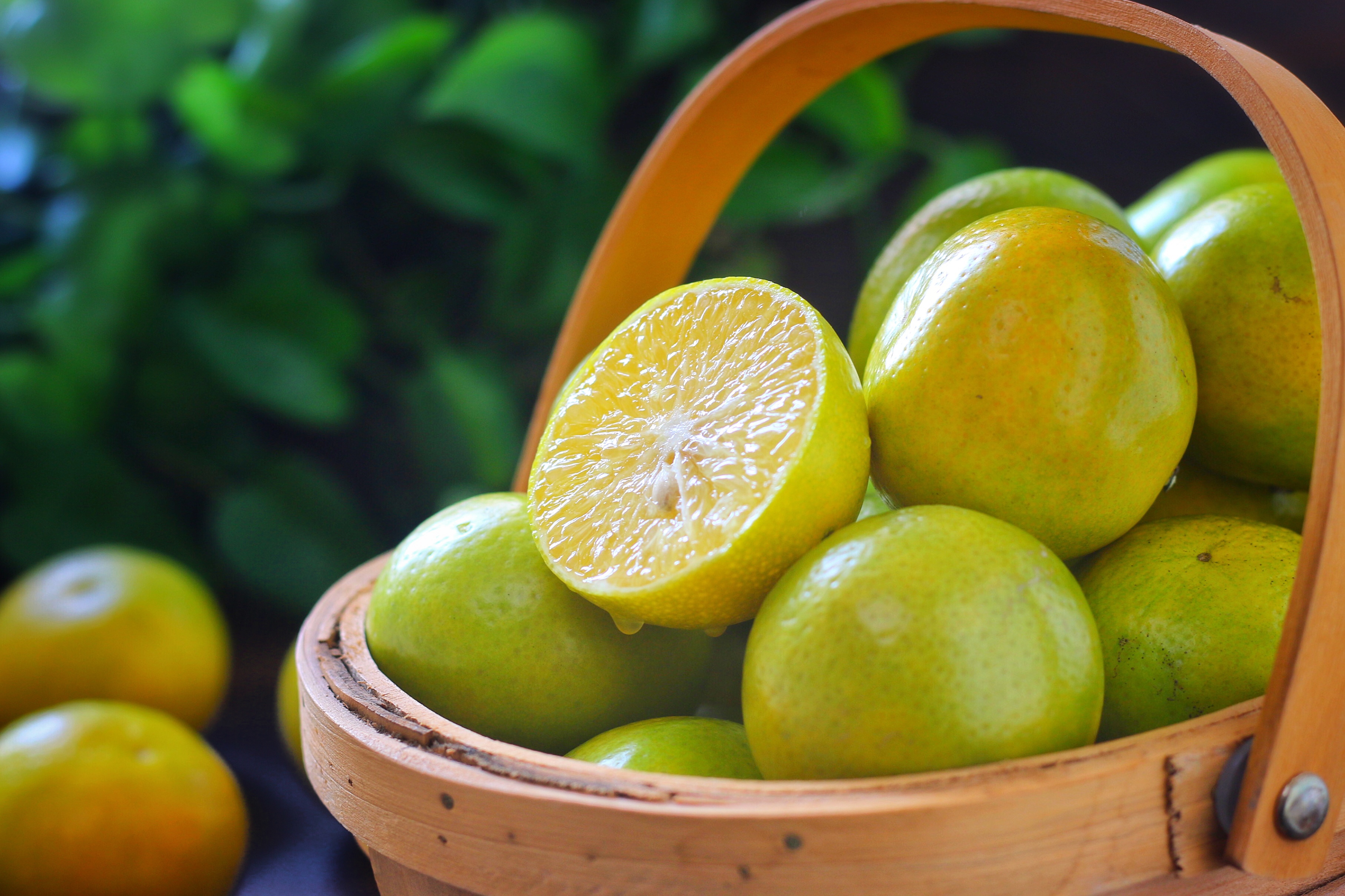 皇帝柑口感最好的时间,新鲜的皇帝柑是怎样的