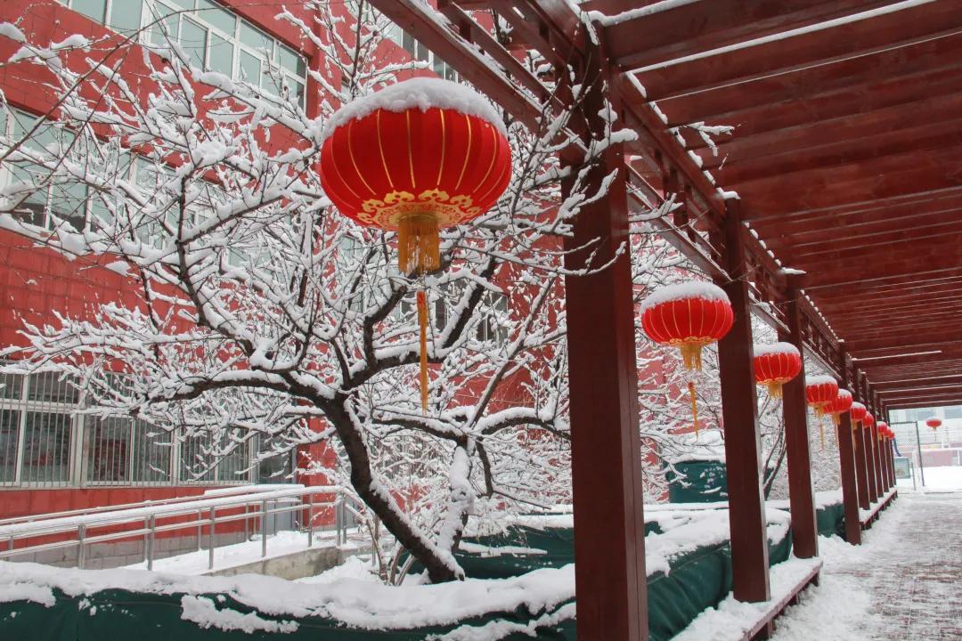 北京顺义学校排名,顺义中学排名前十名