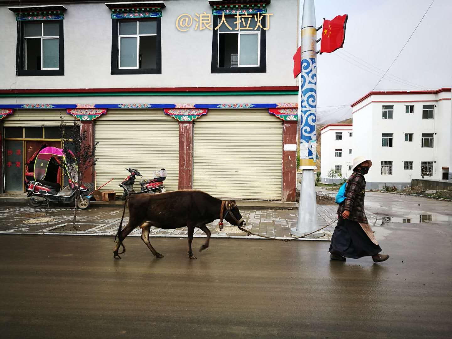 真正深藏不露的人特征,真正深藏的人特点