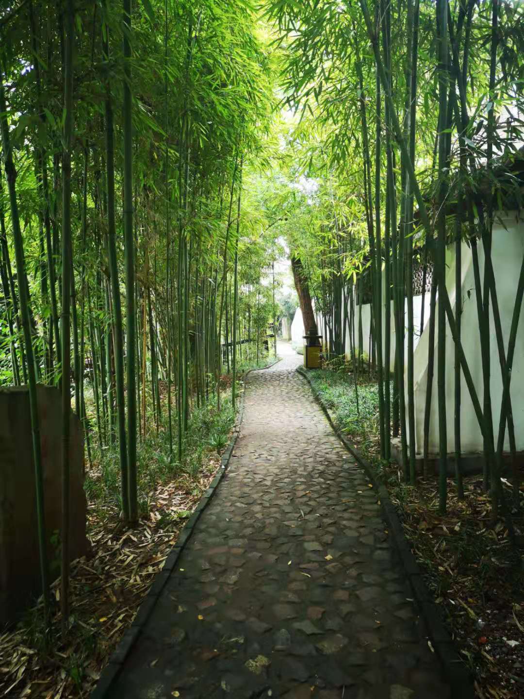 游相如故里,游邛崃遗址公园作文