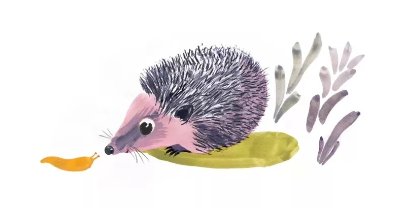 伊能静上热搜原因,伊能静上节目谈到孩子