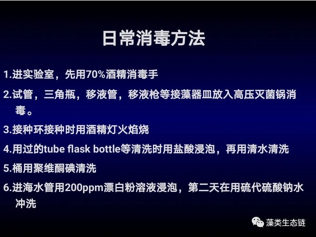 藻类培养课程视频教程,海南藻类生态链
