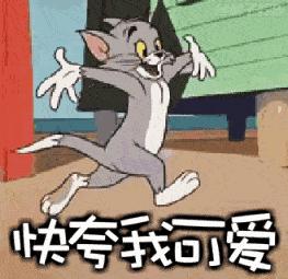 教资小教综合素质必考内容,小学教资综合素质必背考点讲解