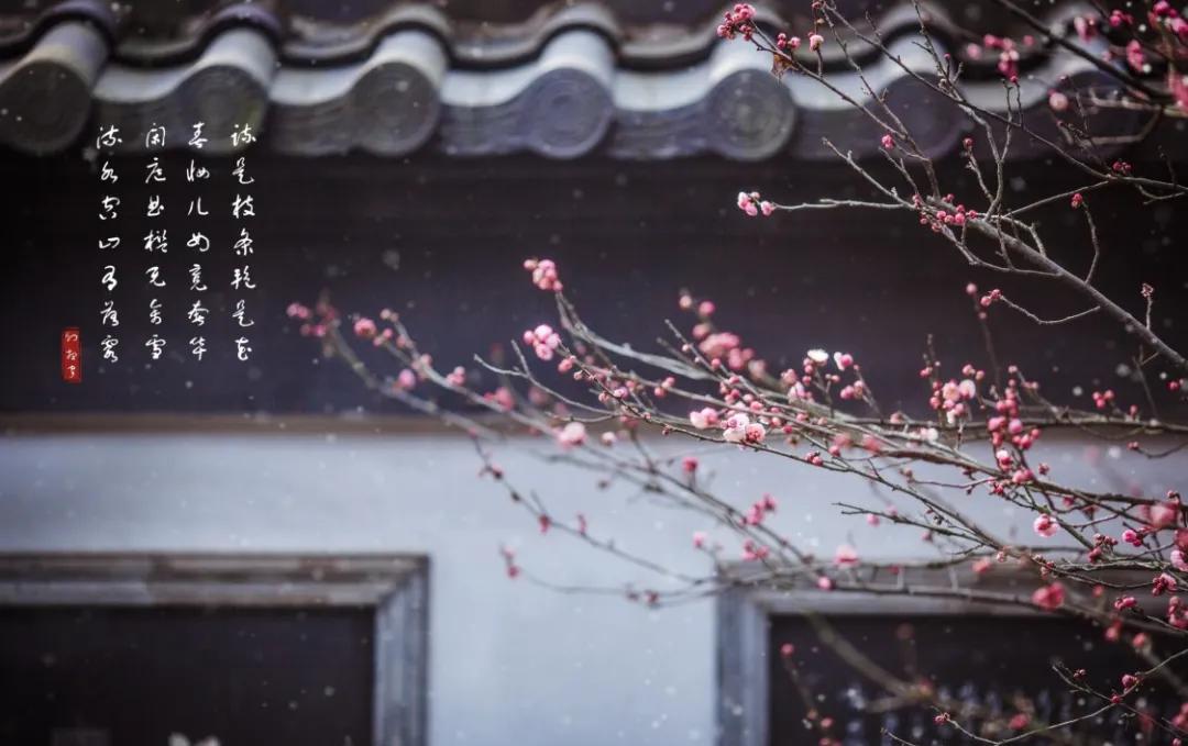 10句惊艳岁月的诗词,十首岁月静好的诗句