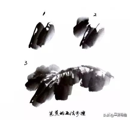 芭蕉叶画法教程,国画芭蕉画法视频
