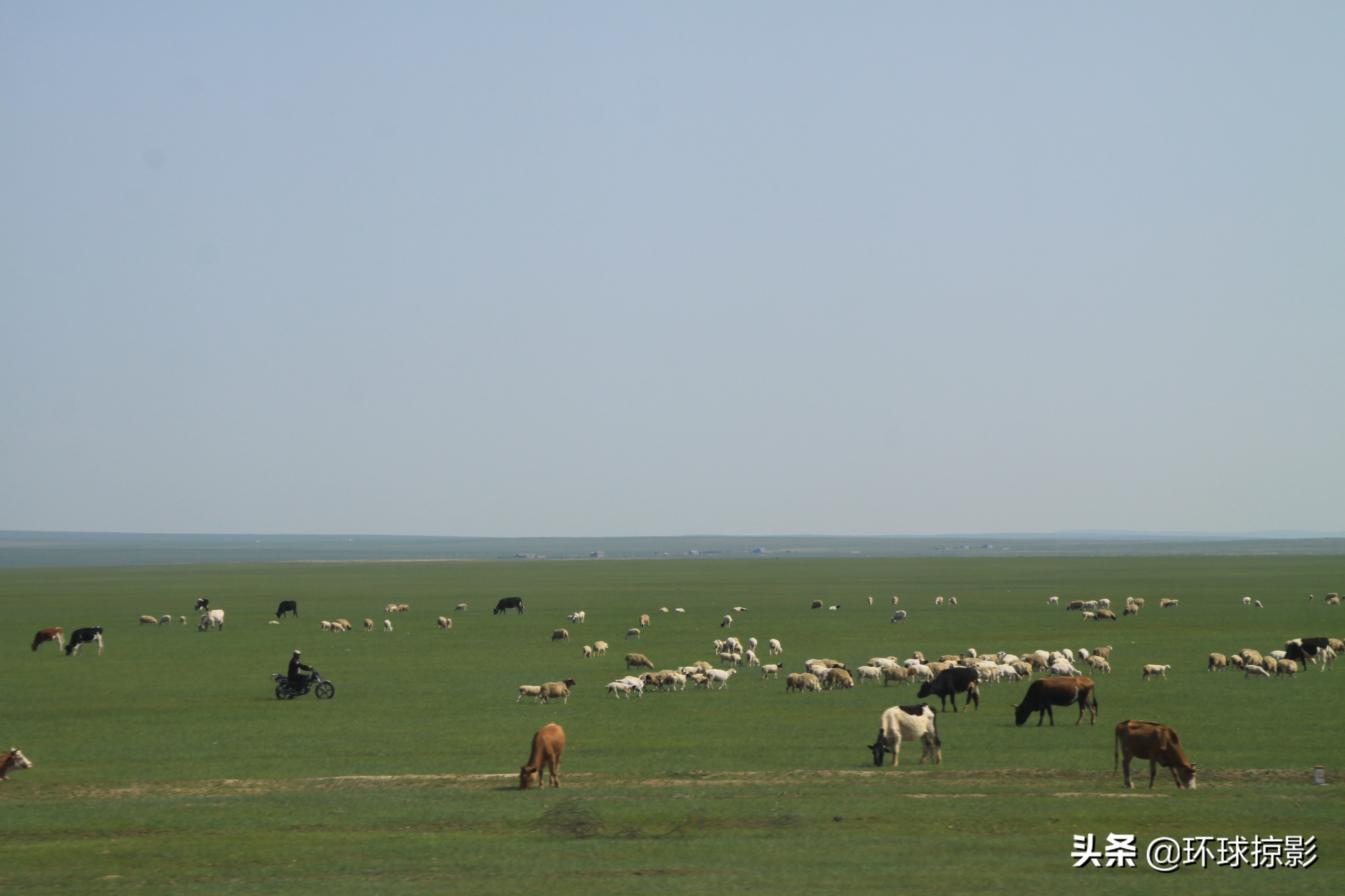 8月份漠河,呼伦贝尔8月中旬