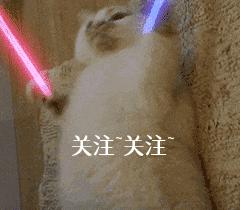 养了狗狗之后不喜欢交朋友,养了比熊不想养其他狗