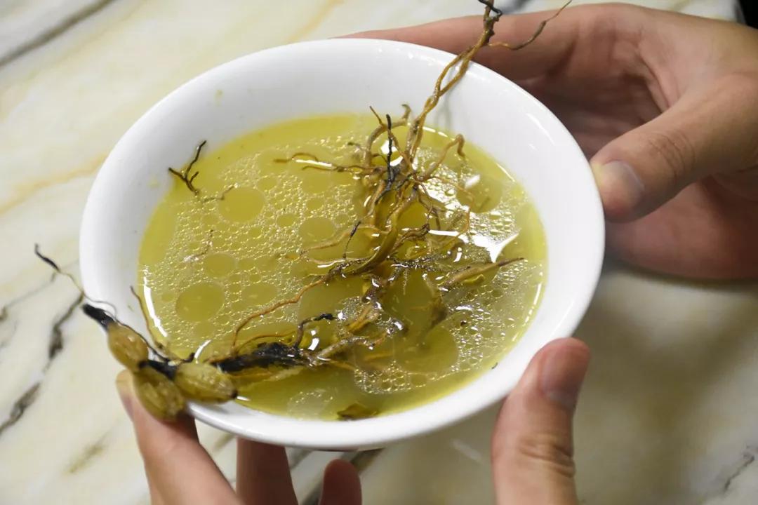 南海盐步老字号美食,南海盐步鸽