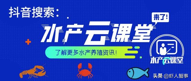 稻田小龙虾养殖技术大全,养稻田小龙虾技术新手入门