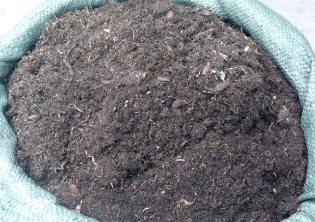 千佛手需要勤浇水吗怎么养,多肉千佛手怎样快速爆盆