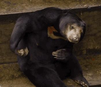 湿疹反复怎么根除吃中药,湿疹家庭自我治疗