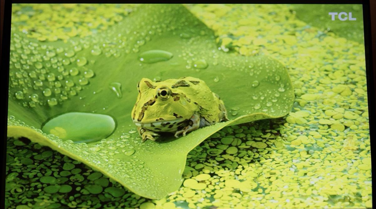 瞬间提升客厅格调，电影1895电影机体验