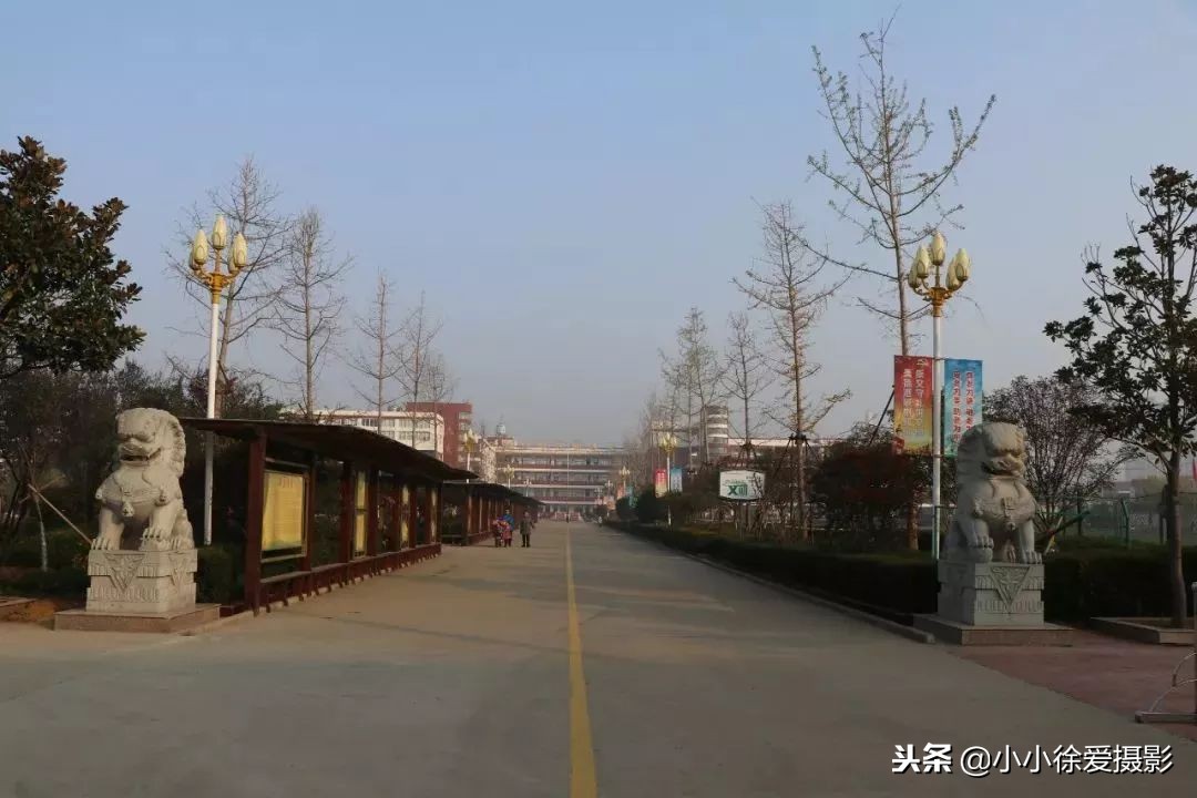 青口中心小学校,闽侯青口中心小学在哪儿